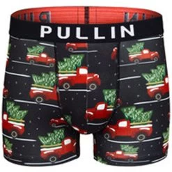 Boxer Pullin Master Noel Truck